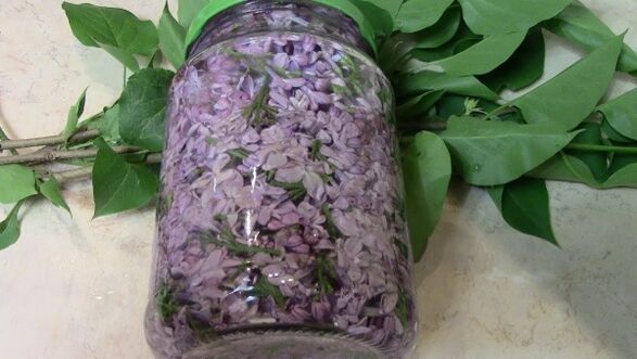 Lilac Alcohol Tincture for Rubbing the Lower Back Affected by Osteochondrosis