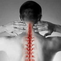 Neck bone and chondropathy