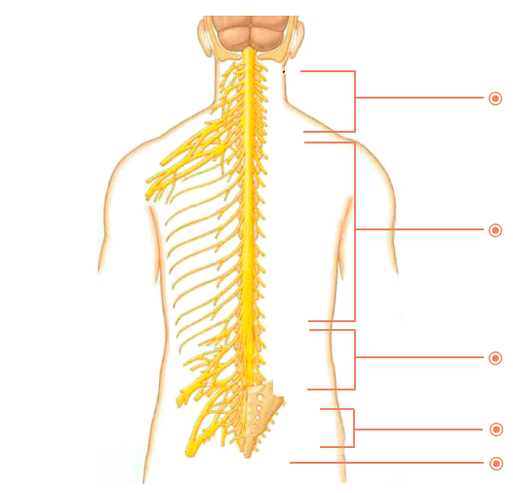 Where is osteochondral disease
